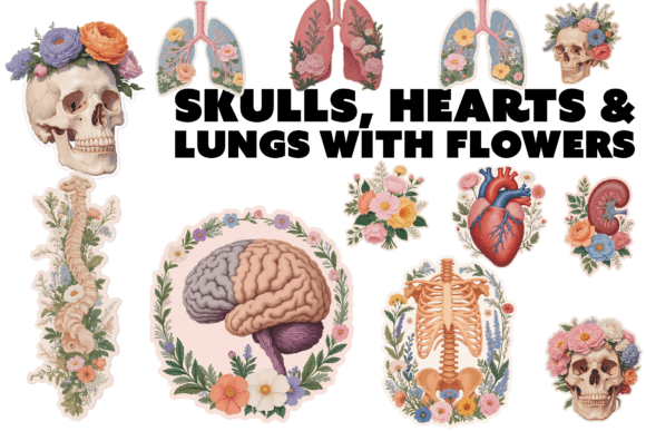 Download Floral Anatomy PNG Collection - Floral Collection